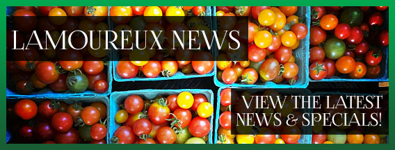 News and Specials at Lamoureux Greenhouses